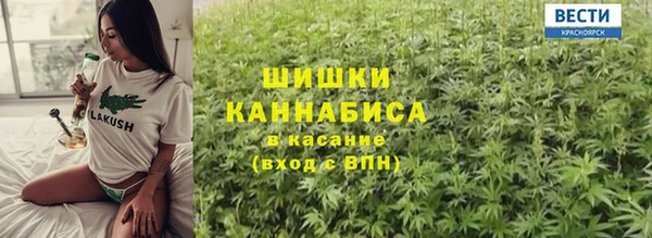 PSILOCYBIN Корсаков