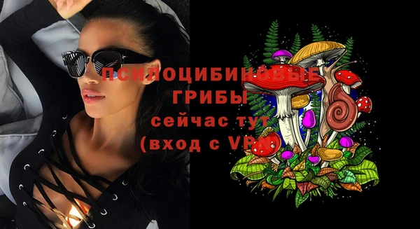 ECSTASY Кукмор