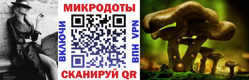 Галлюциногенные грибы Psilocybe  Урень 